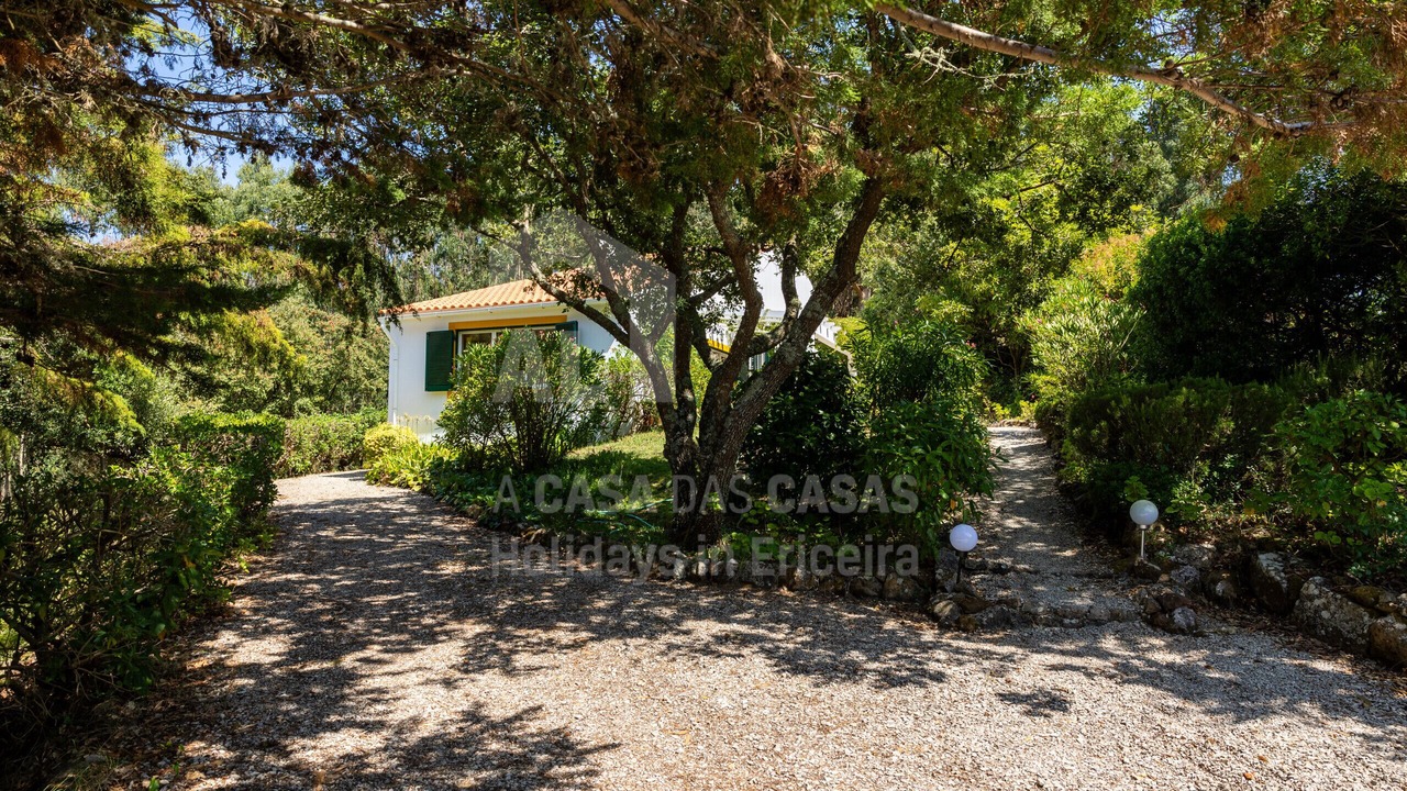 Photo of Outdoor in Mafra