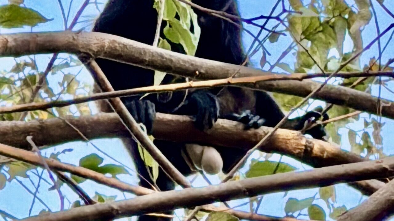 Photo of Others in El Gigante
