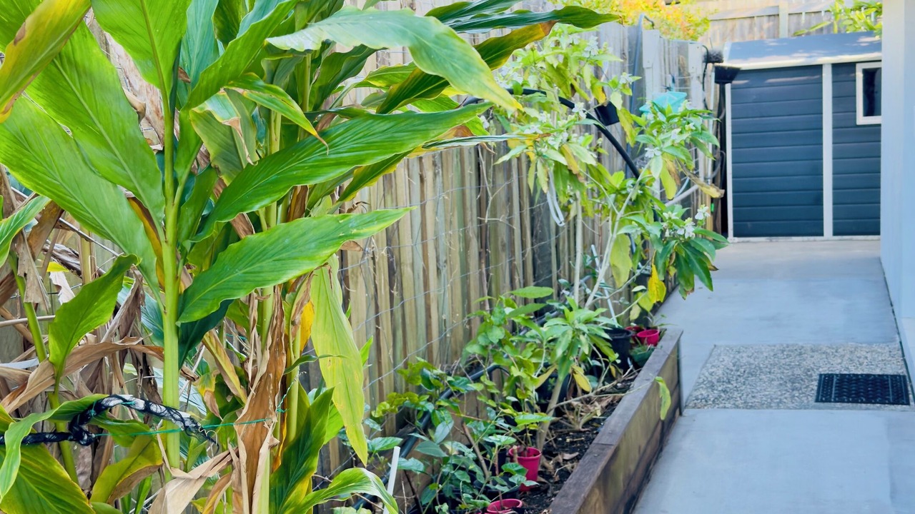 Photo of Outdoor in Mango Hill