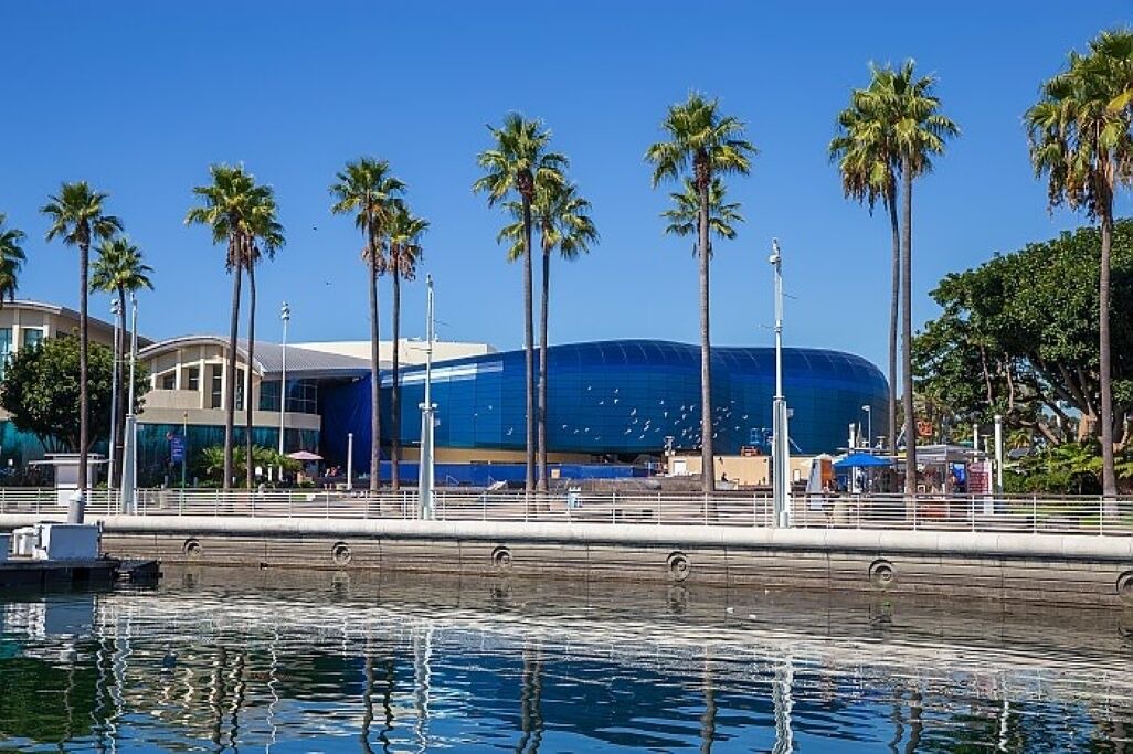 Photo of Others in Downtown Long Beach