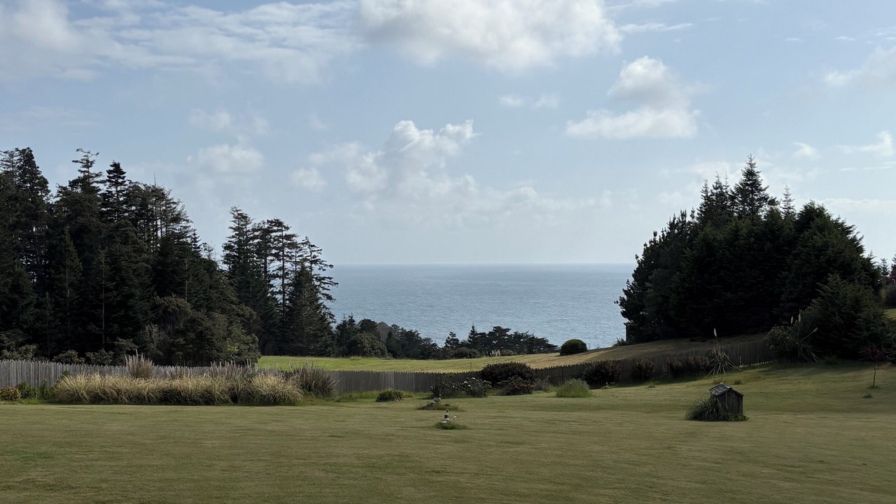Photo of Outdoor in Little River