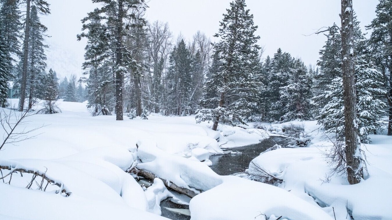 Photo of Others in Christmas Valley