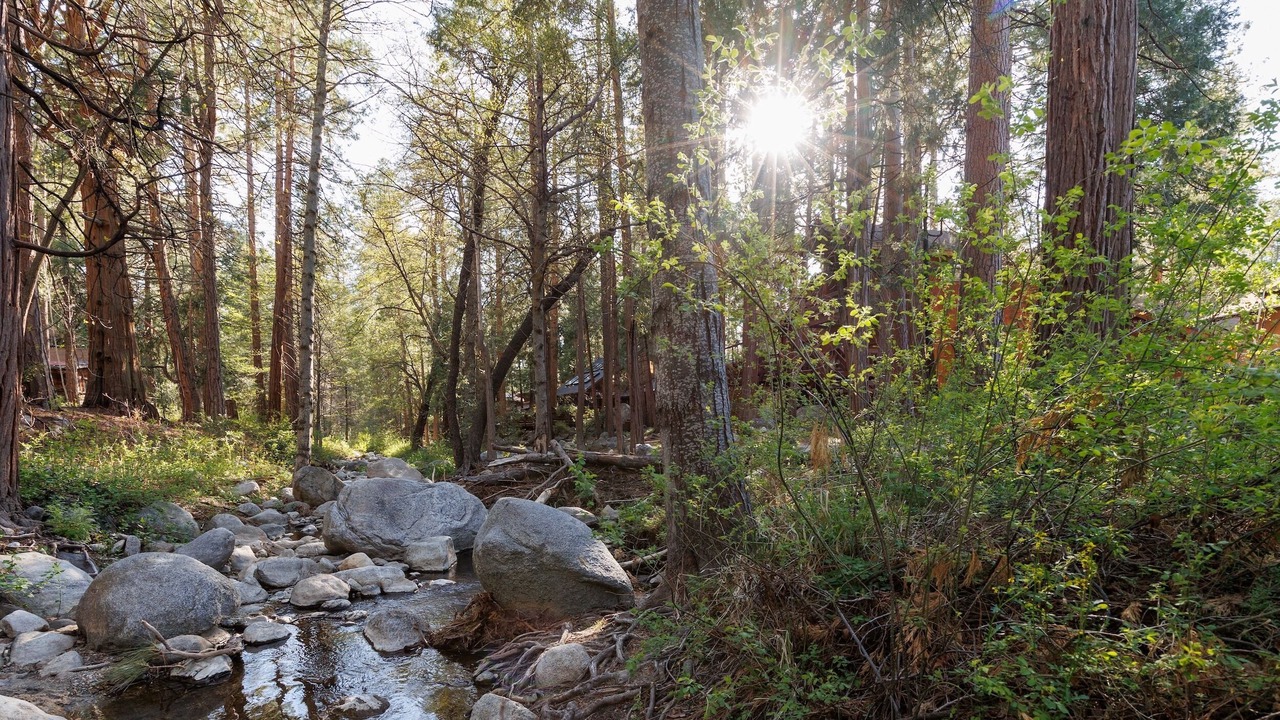 Photo of Others in Idyllwild