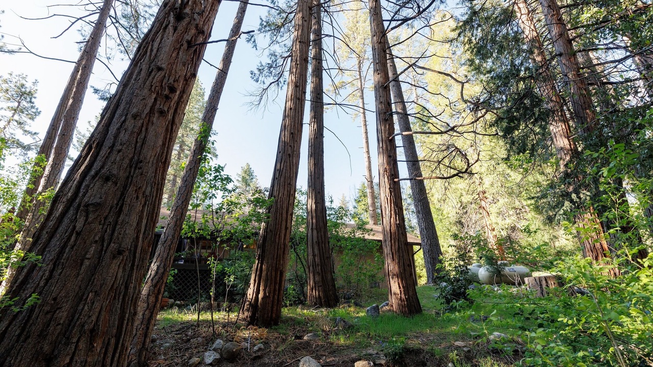 Photo of Outdoor in Idyllwild