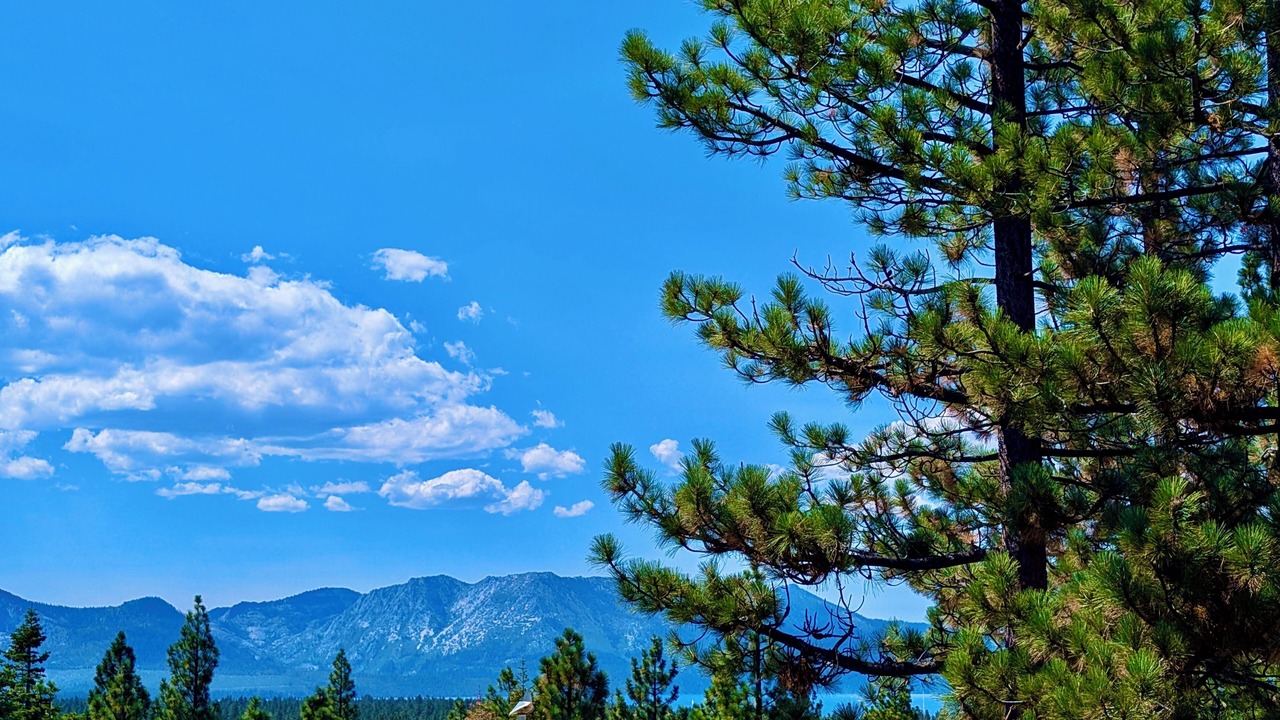 Photo of Others in South Lake Tahoe