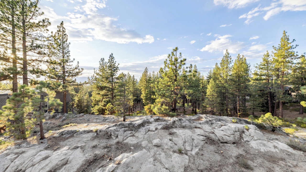 Photo of Others in South Lake Tahoe