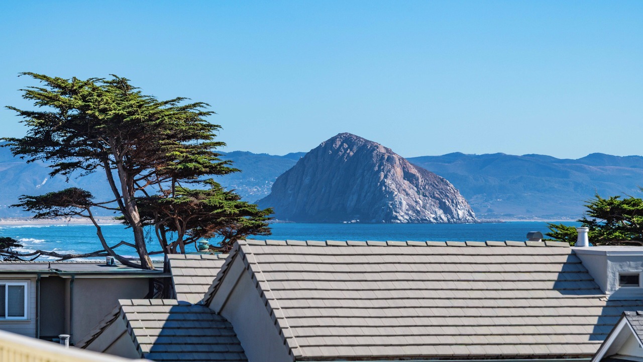 Photo of Others in Cayucos