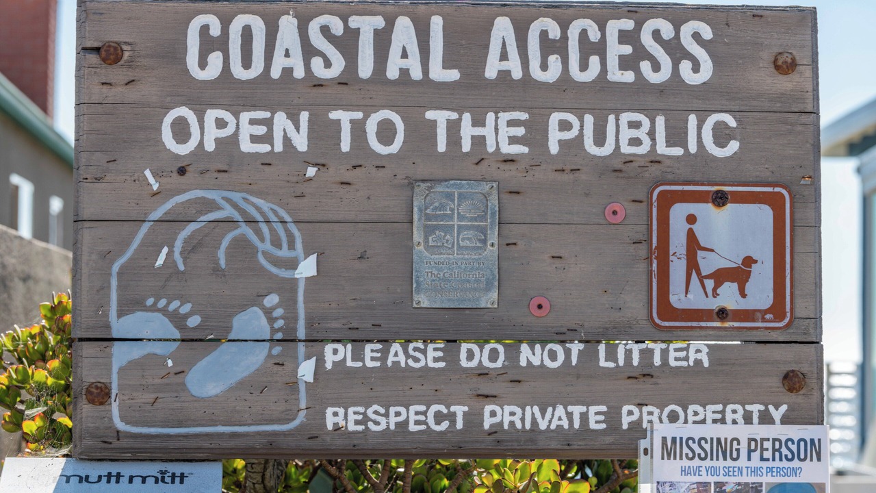 Photo of Others in Cayucos