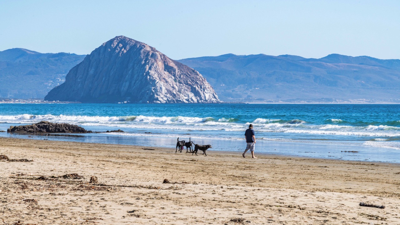 Photo of Others in Cayucos