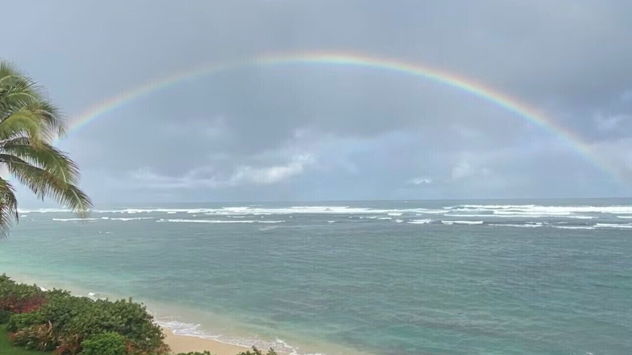 Photo of Others in Mokuleia