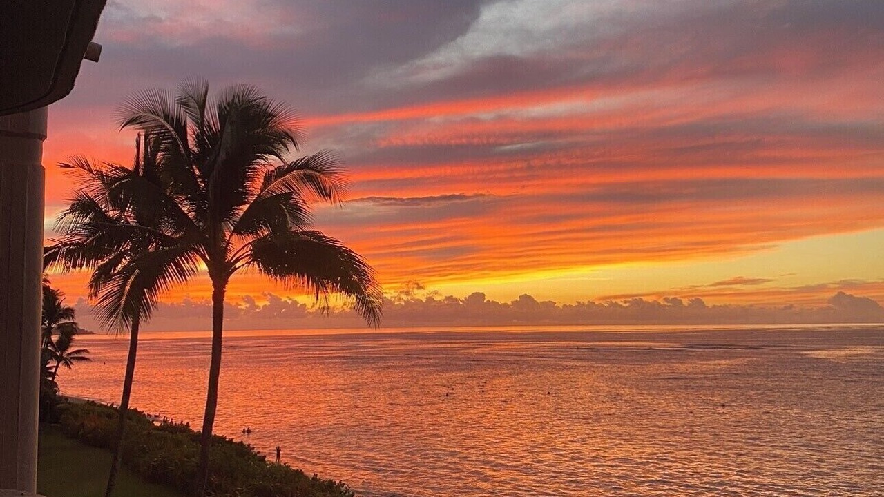 Photo of Outdoor in Mokuleia