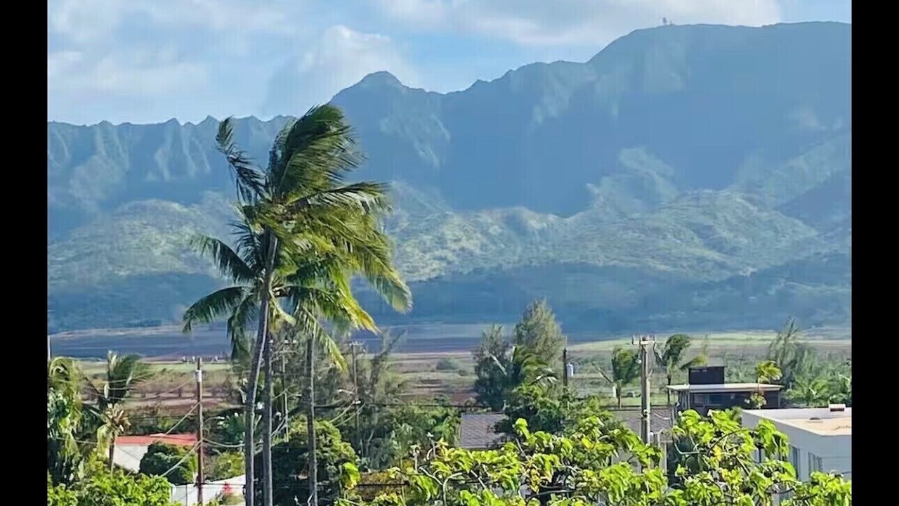 Photo of Others in Mokuleia