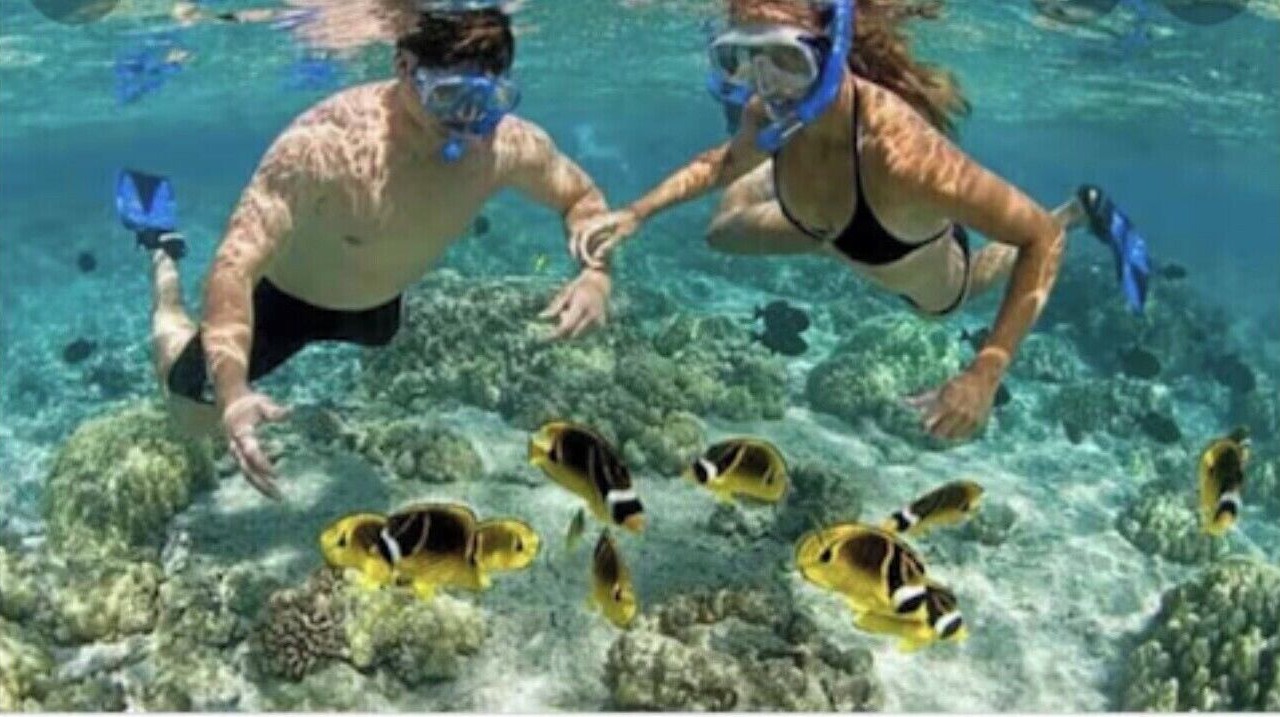 Photo of Others in Mokuleia