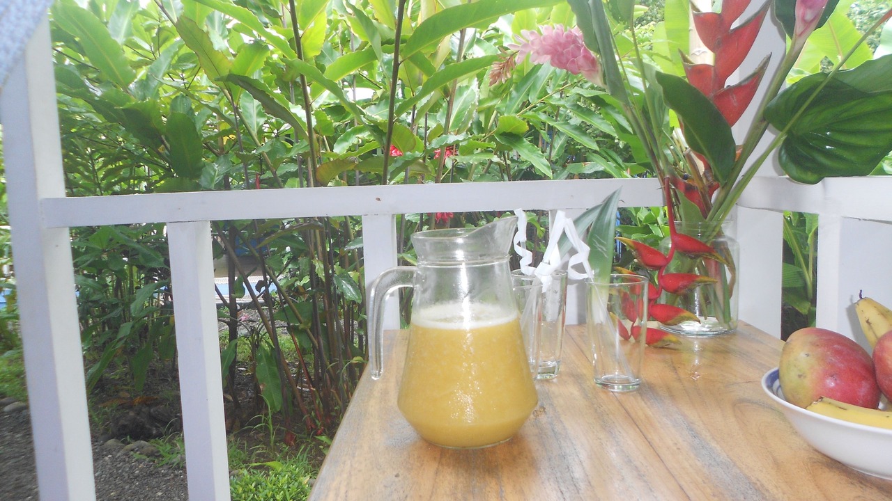 Photo of Patio Balcony in Chiguata