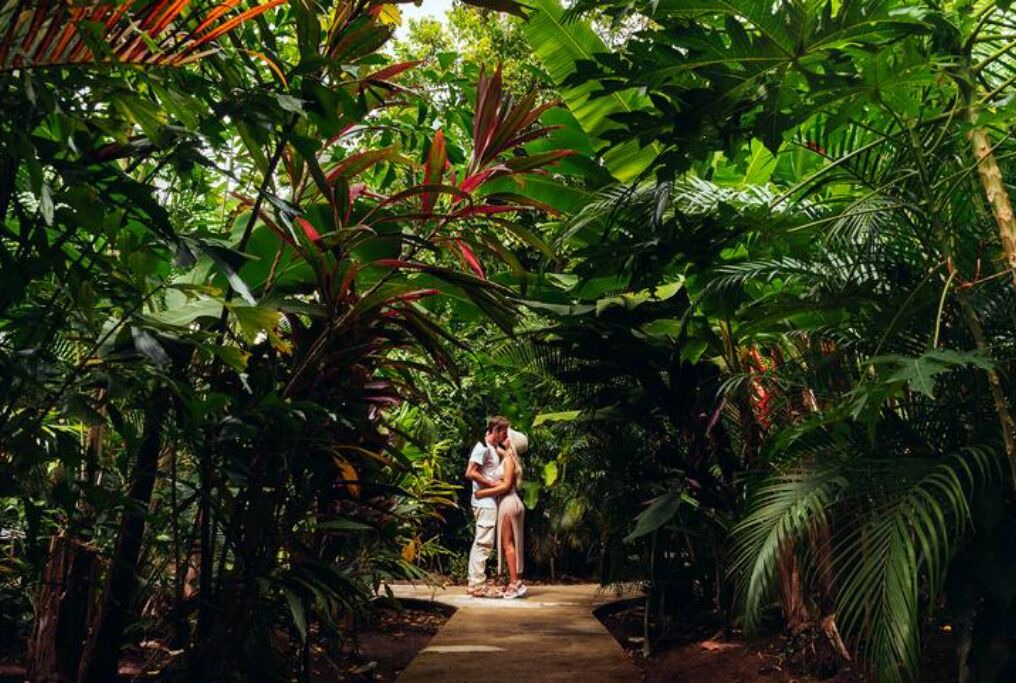 Photo of Outdoor in Puerto Viejo de Talamanca