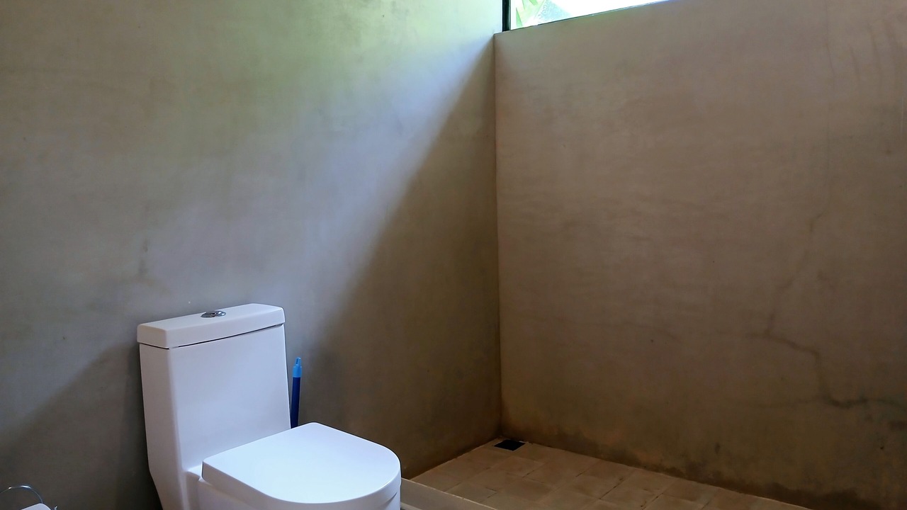 Photo of Bathroom in Limon