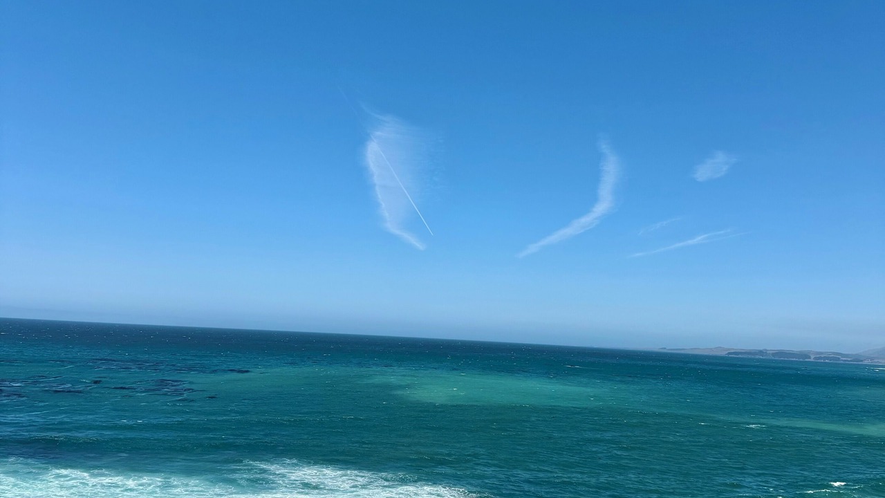 Photo of Others in San Simeon