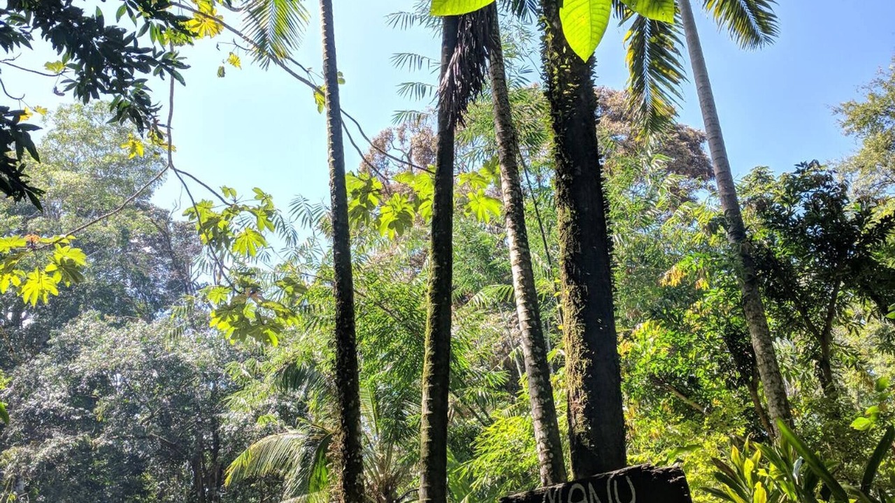 Photo of Outdoor in Cocles