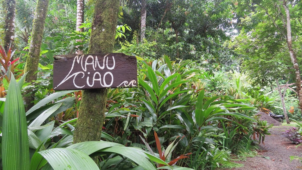 Photo of Outdoor in Cocles