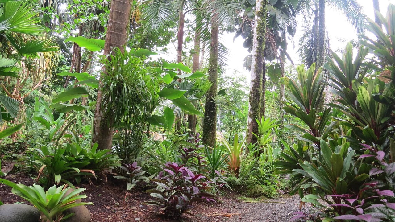 Photo of Outdoor in Cocles