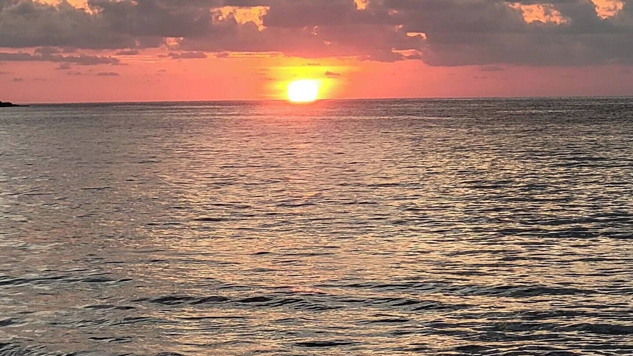 Photo of Others in Drake Bay