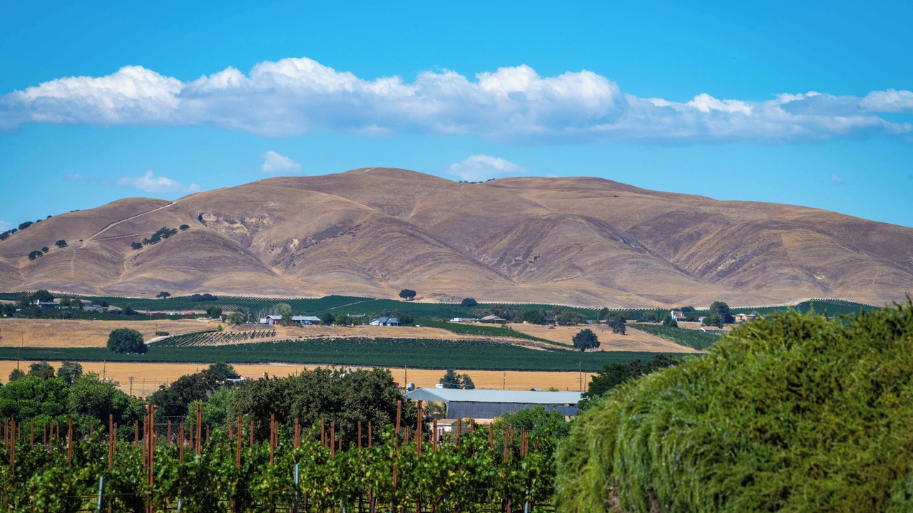 Photo of Others in Paso Robles