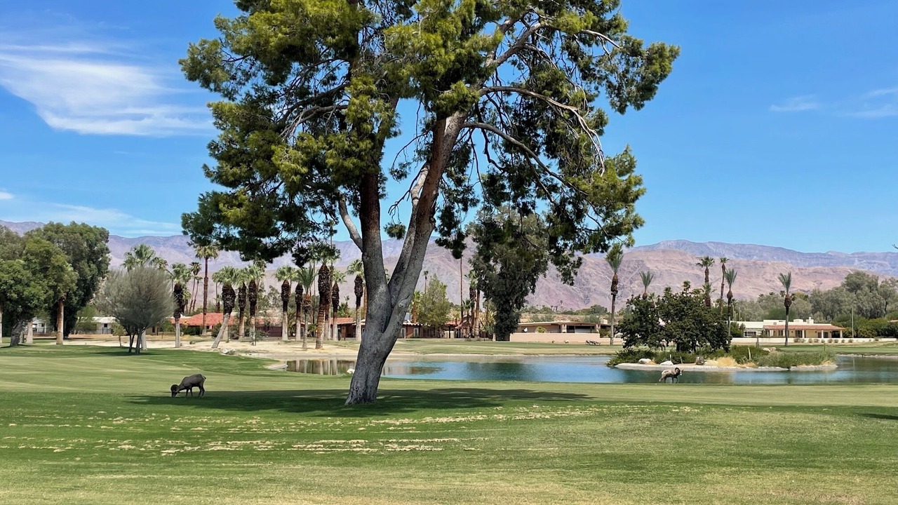 Photo of Others in Borrego Springs