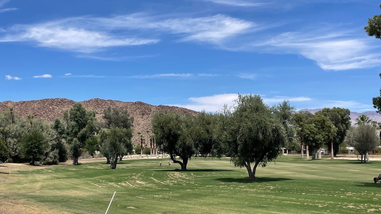 Photo of Others in Borrego Springs