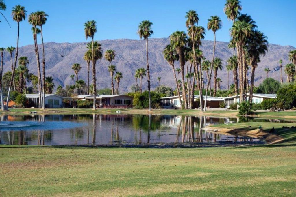 Photo of Others in Borrego Springs