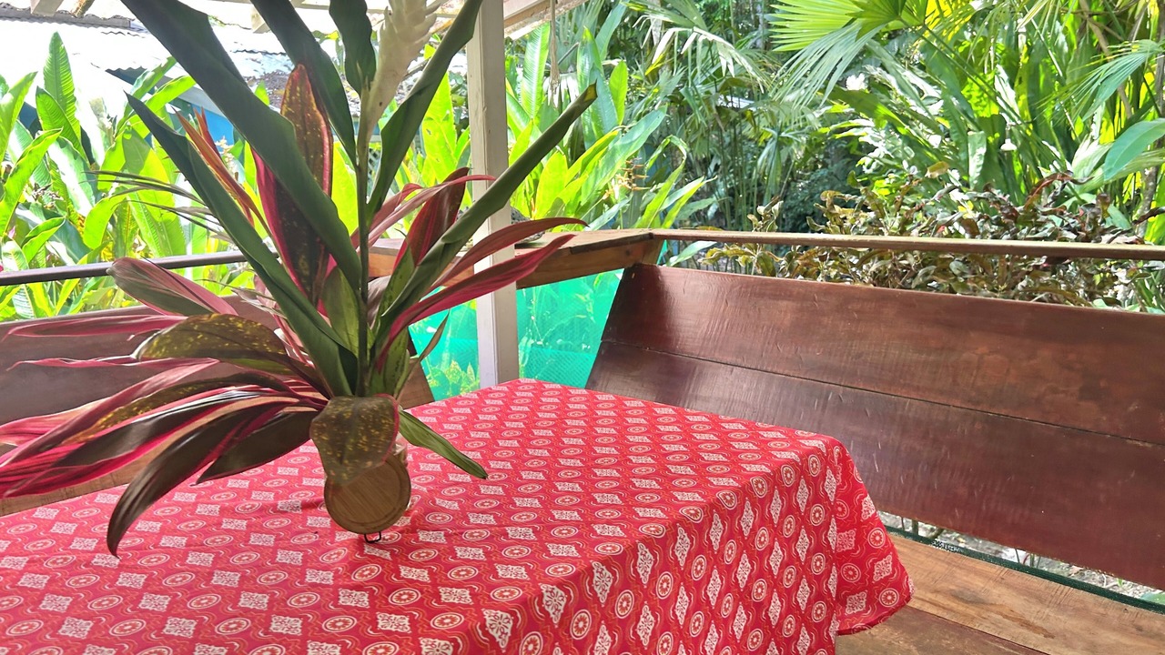 Photo of Outdoor in Punta Uva