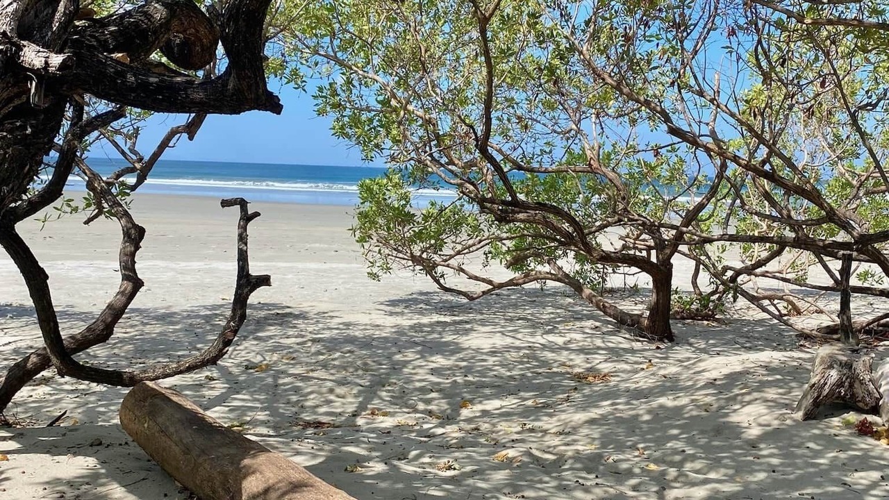 Photo of Others in Playa El Coco