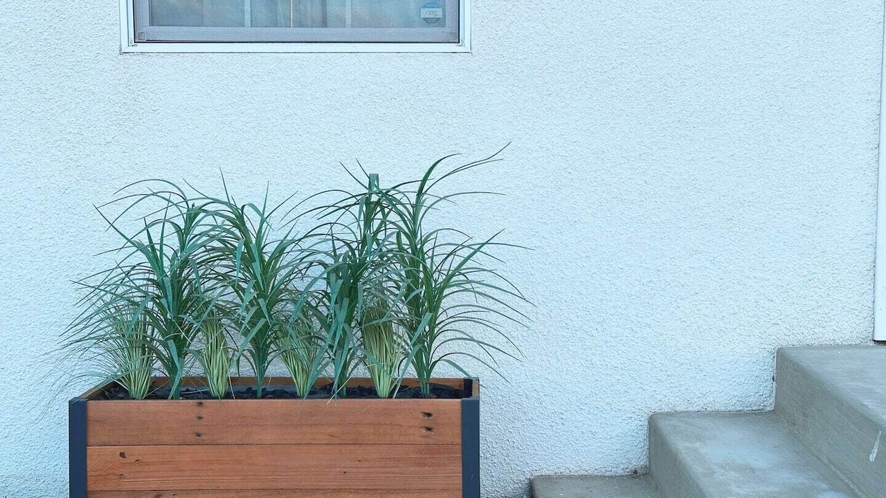 Photo of Outdoor in Visalia