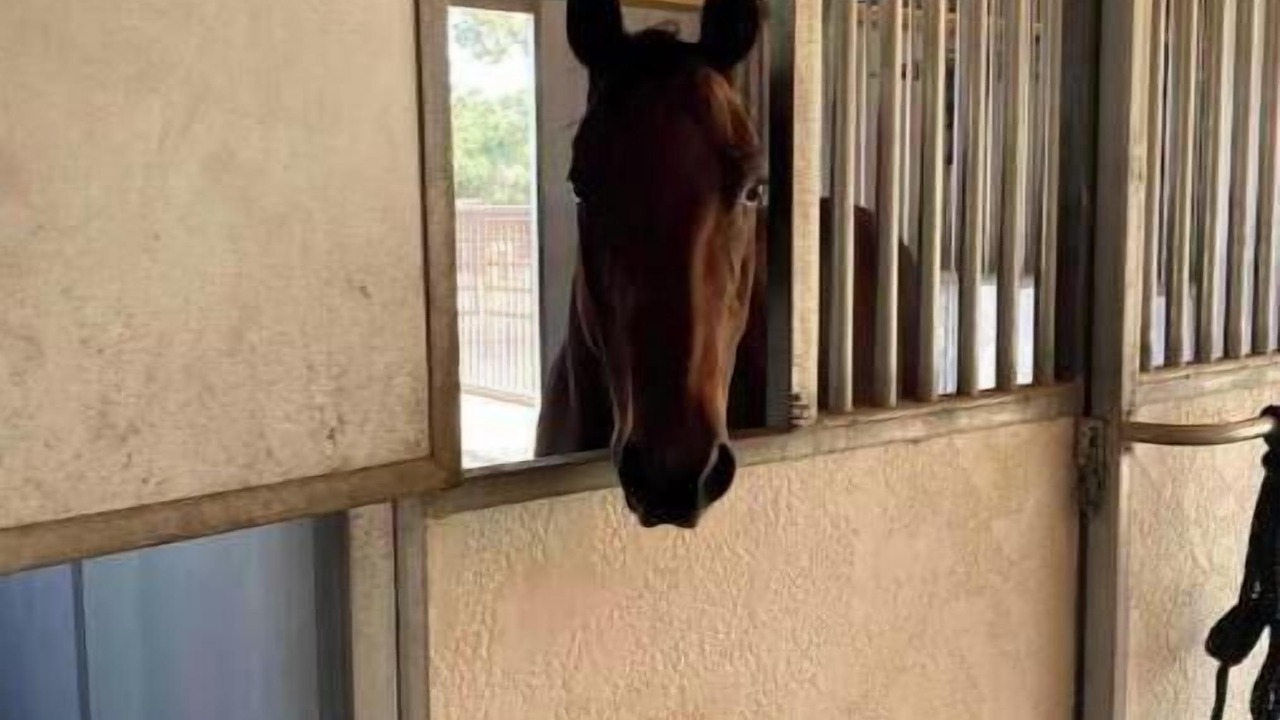 Photo of Others in Santa Ynez