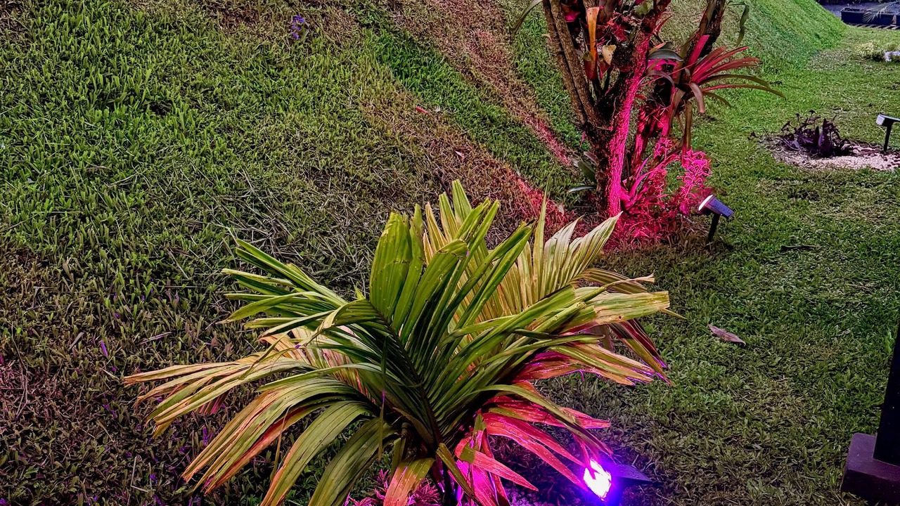 Photo of Outdoor in Monteverde