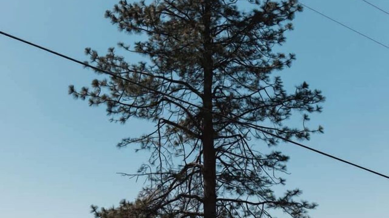 Photo of Others in Dunlap