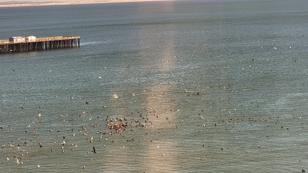 Photo of Others in Avila Beach