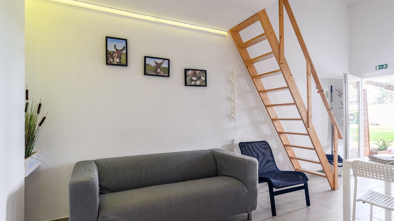 Photo of Livingroom in Palhais