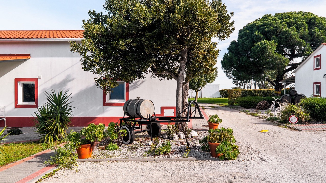Photo of Outdoor in Palhais