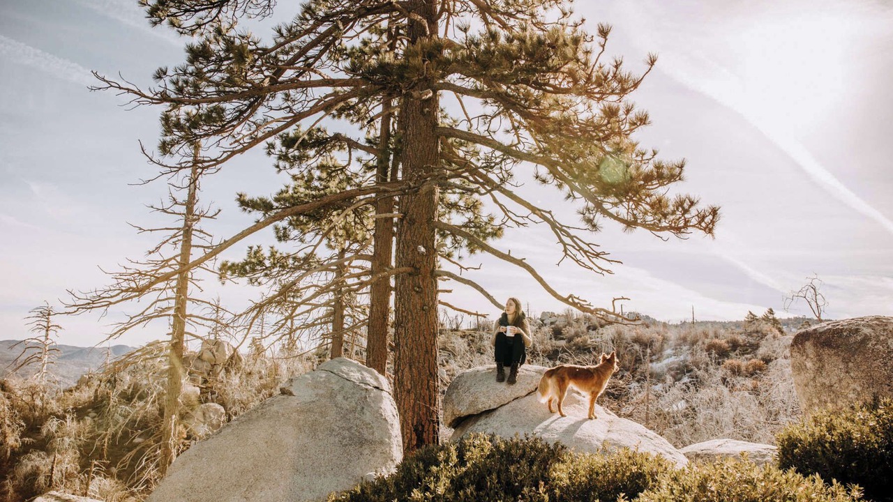 Photo of Others in Green Valley Lake
