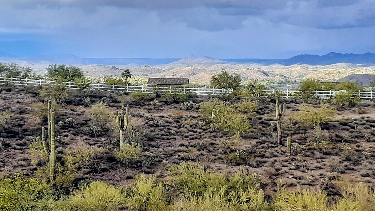 Photo of Others in Wickenburg