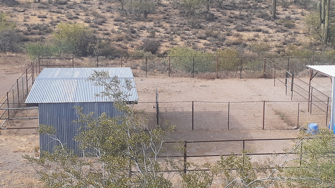 Photo of Outdoor in Wickenburg