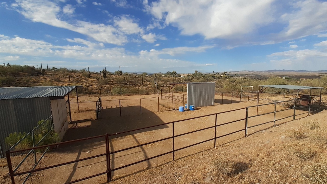 Photo of Outdoor in Wickenburg