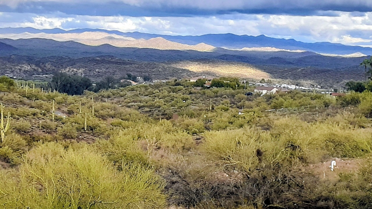 Photo of Others in Wickenburg