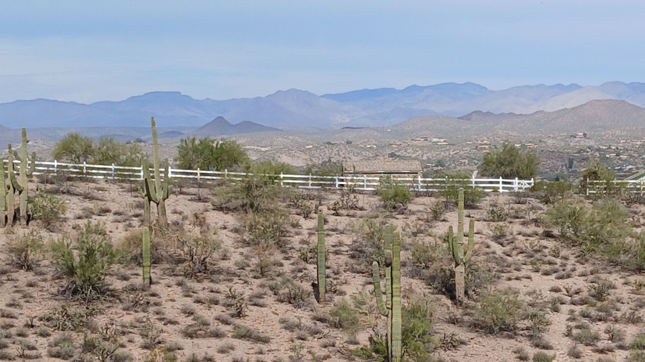 Photo of Others in Wickenburg