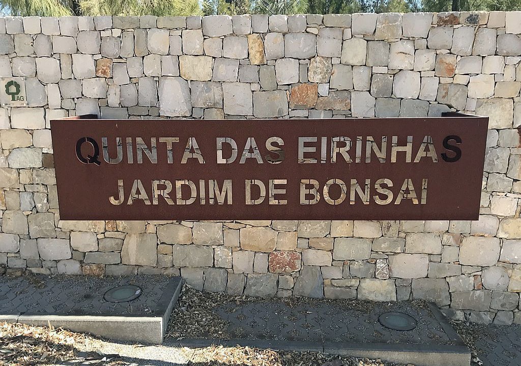 Photo of Others in Tavira