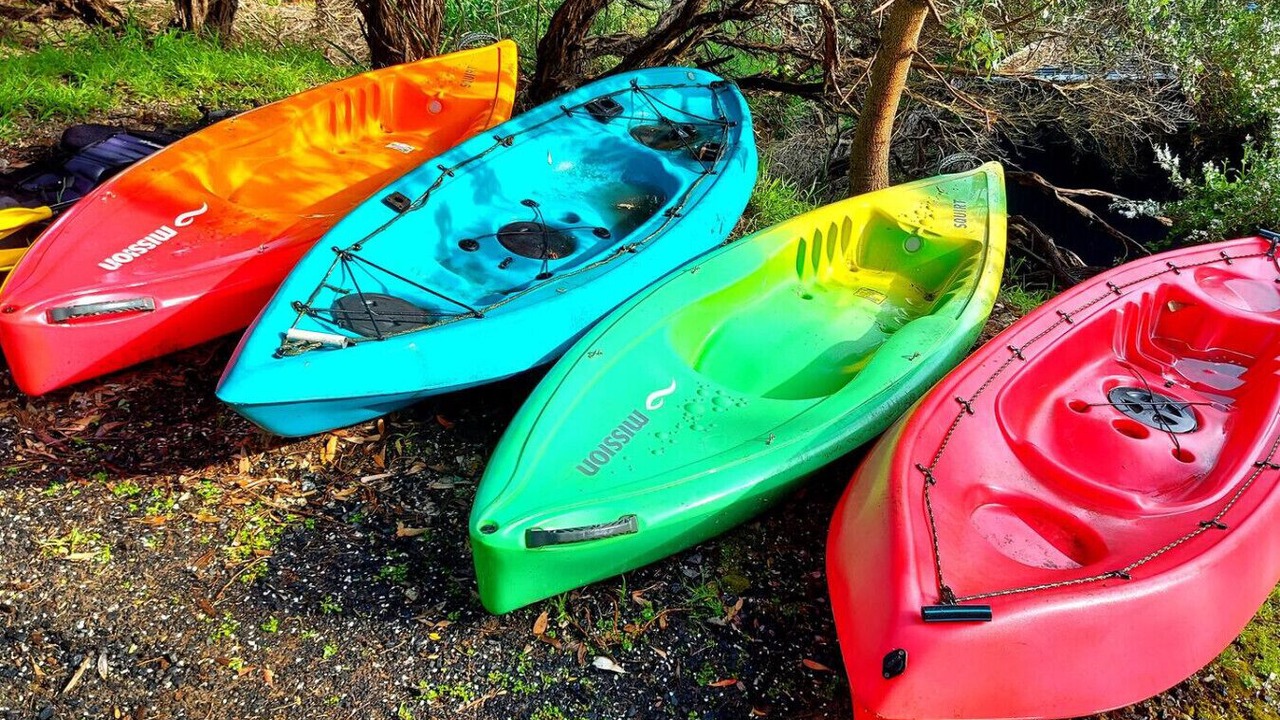 Photo of Others in Venus Bay