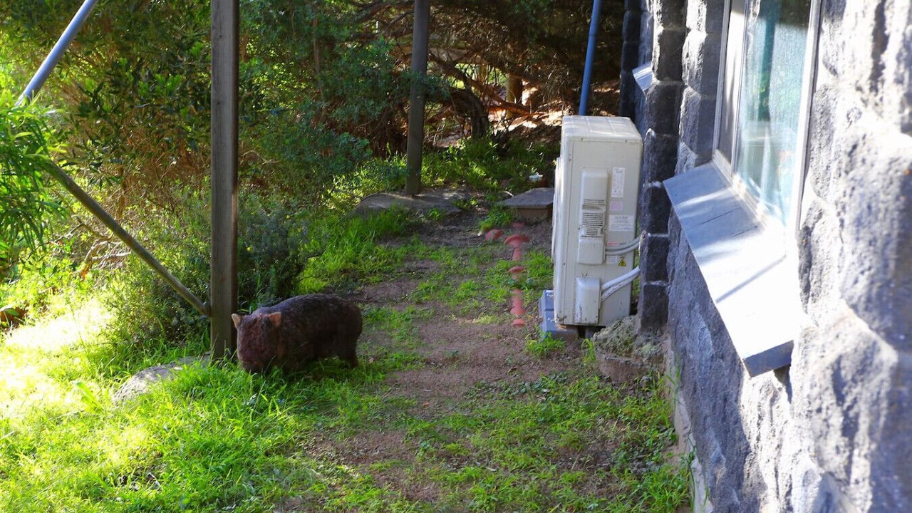 Photo of Outdoor in Venus Bay
