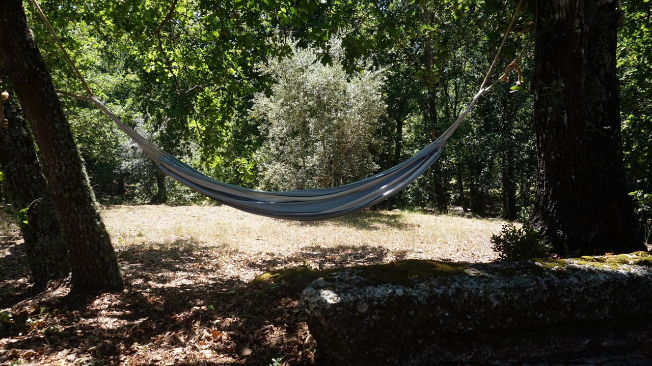 Photo of Outdoor in Tabua