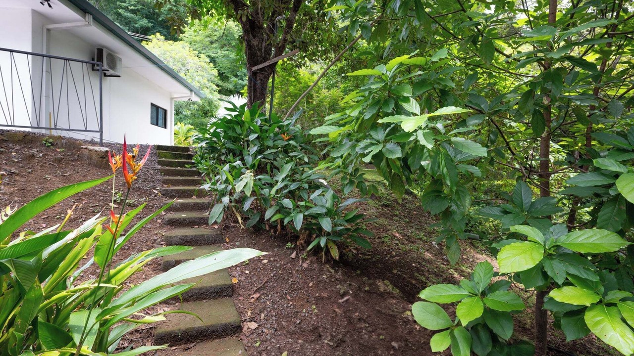 Photo of Outdoor in Tamarindo