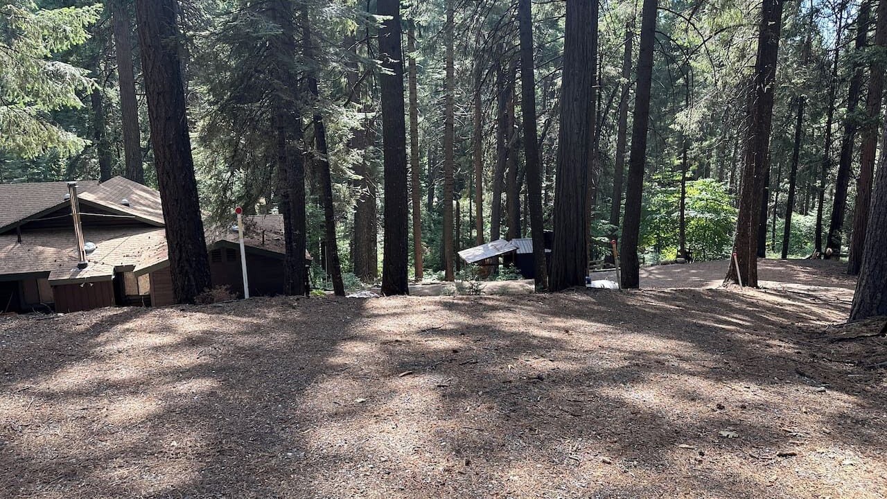 Photo of Outdoor in Pollock Pines